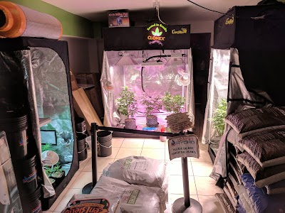 Wash Hydro Medical Cannabis Dispensary