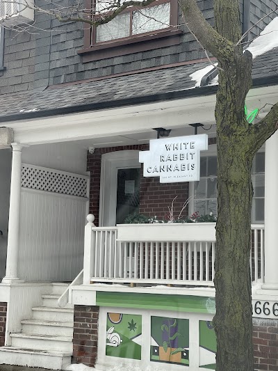 White Rabbit Cannabis