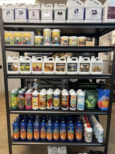 Whole Greens Va Cloned