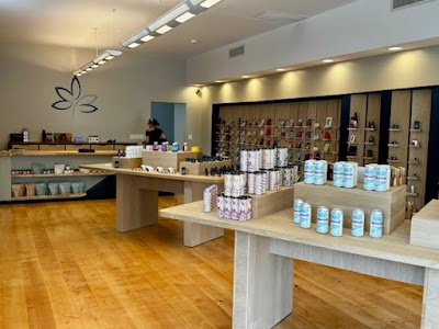 Wildflower Northeast