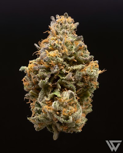 Wisely Hash warehouse