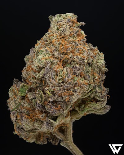 Wisely Hash warehouse