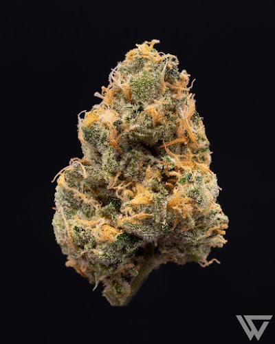 Wisely Hash warehouse