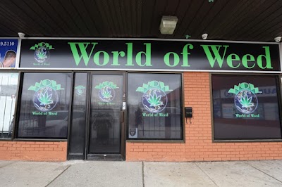 WOW World of Weed - Cannabis Store