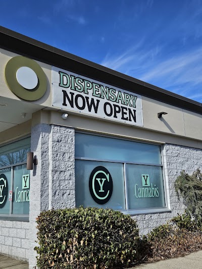 Y Cannabis