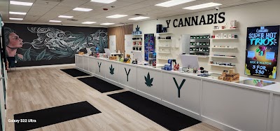 Y Cannabis
