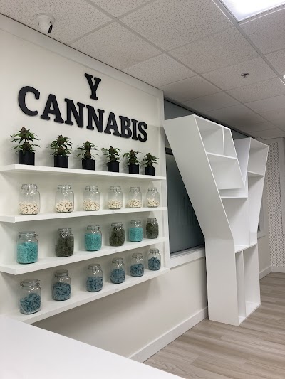 Y Cannabis