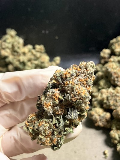 Your Green Thumb Caregivers Medical Marijuana Dispensary