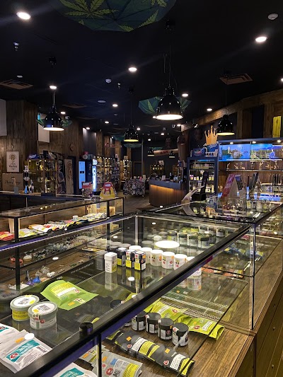 Your Highness Cannabis