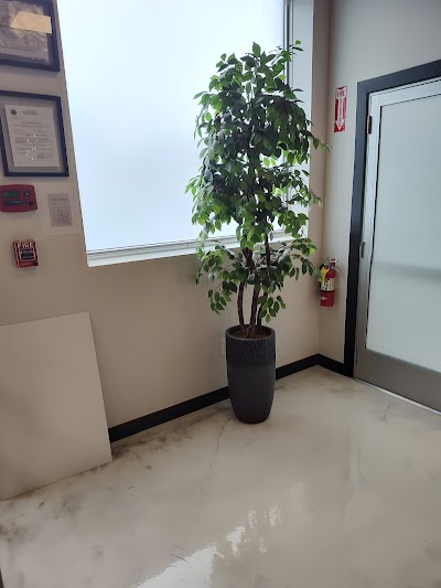 Zaza Green Cannabis Dispensary Springfield