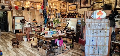 Zen Medicine Bitterroot