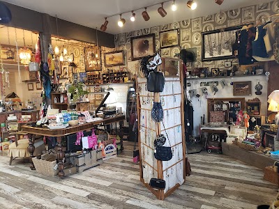 Zen Medicine Bitterroot