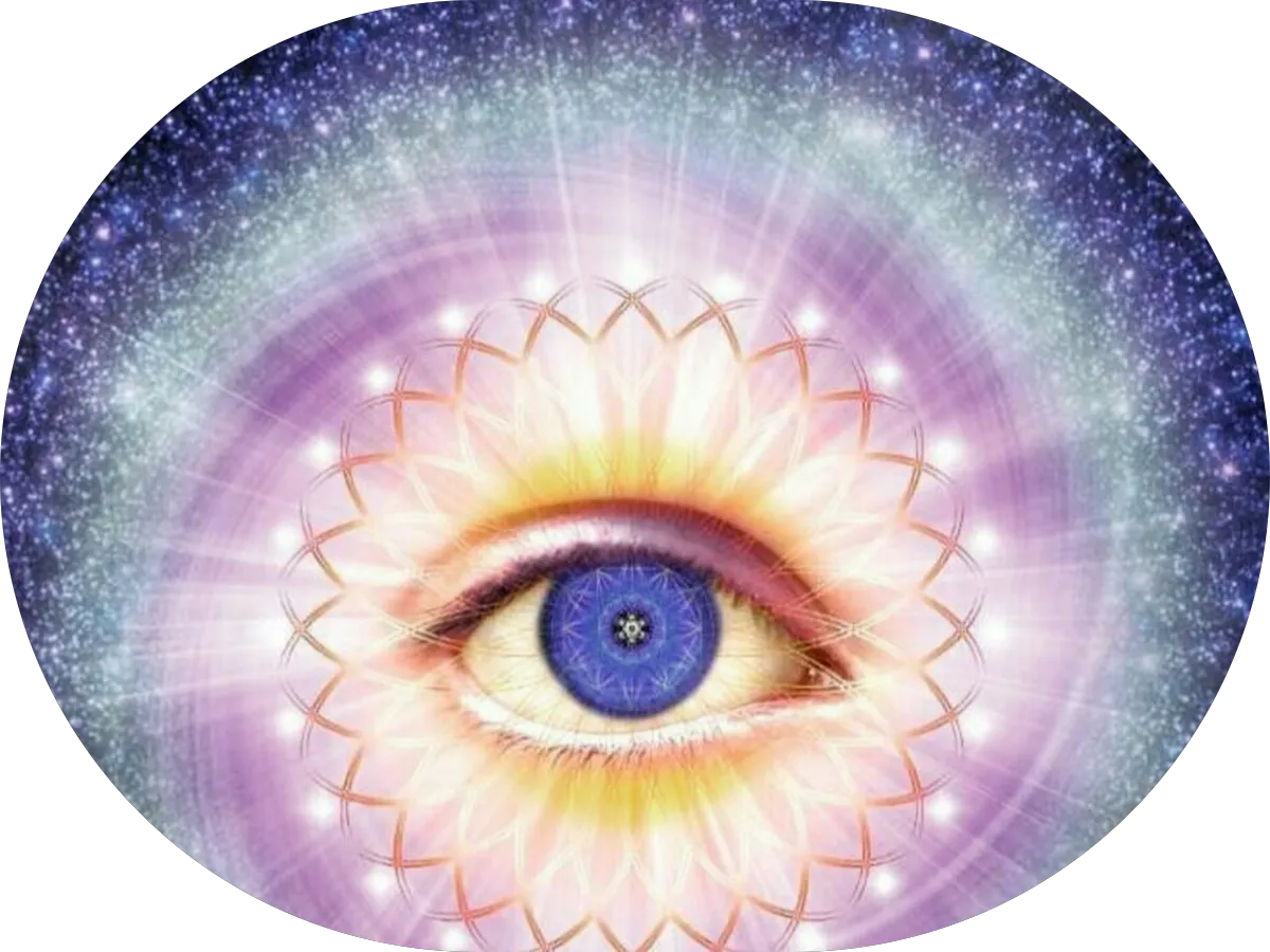 14 Towing Service photo 3