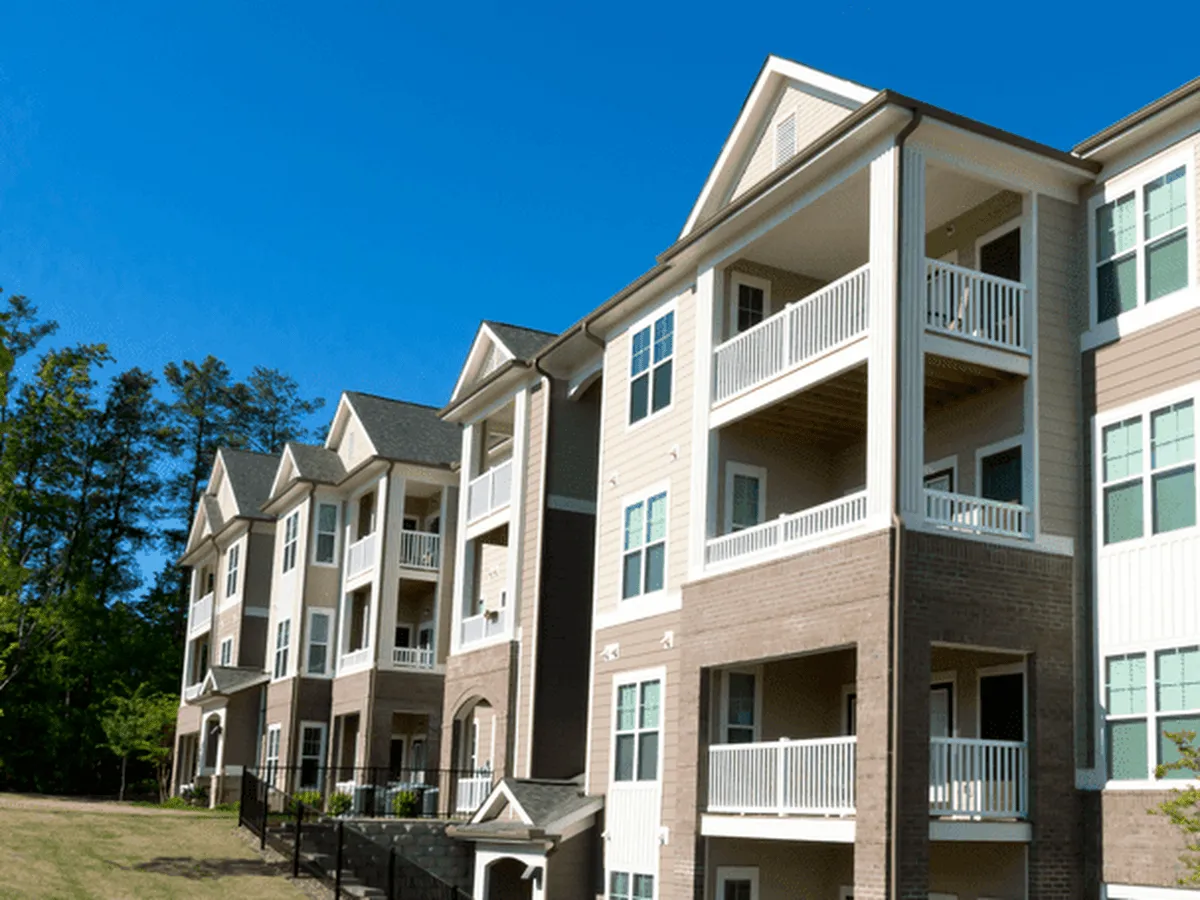 3BEES Painting photo 4