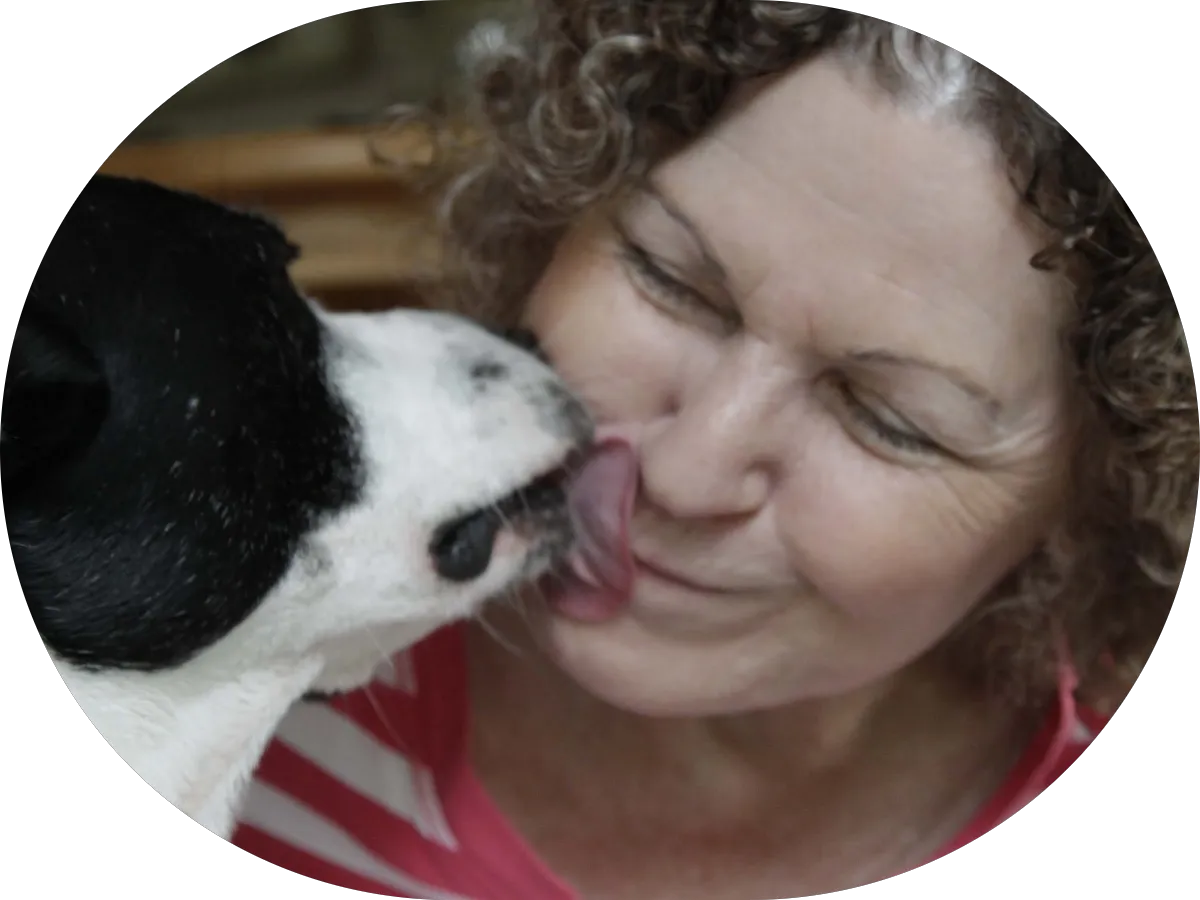 3wCommunications Inc. photo 4