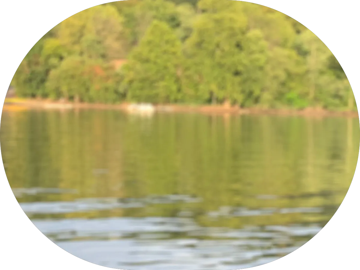 401 West Hair & Body Care photo 4