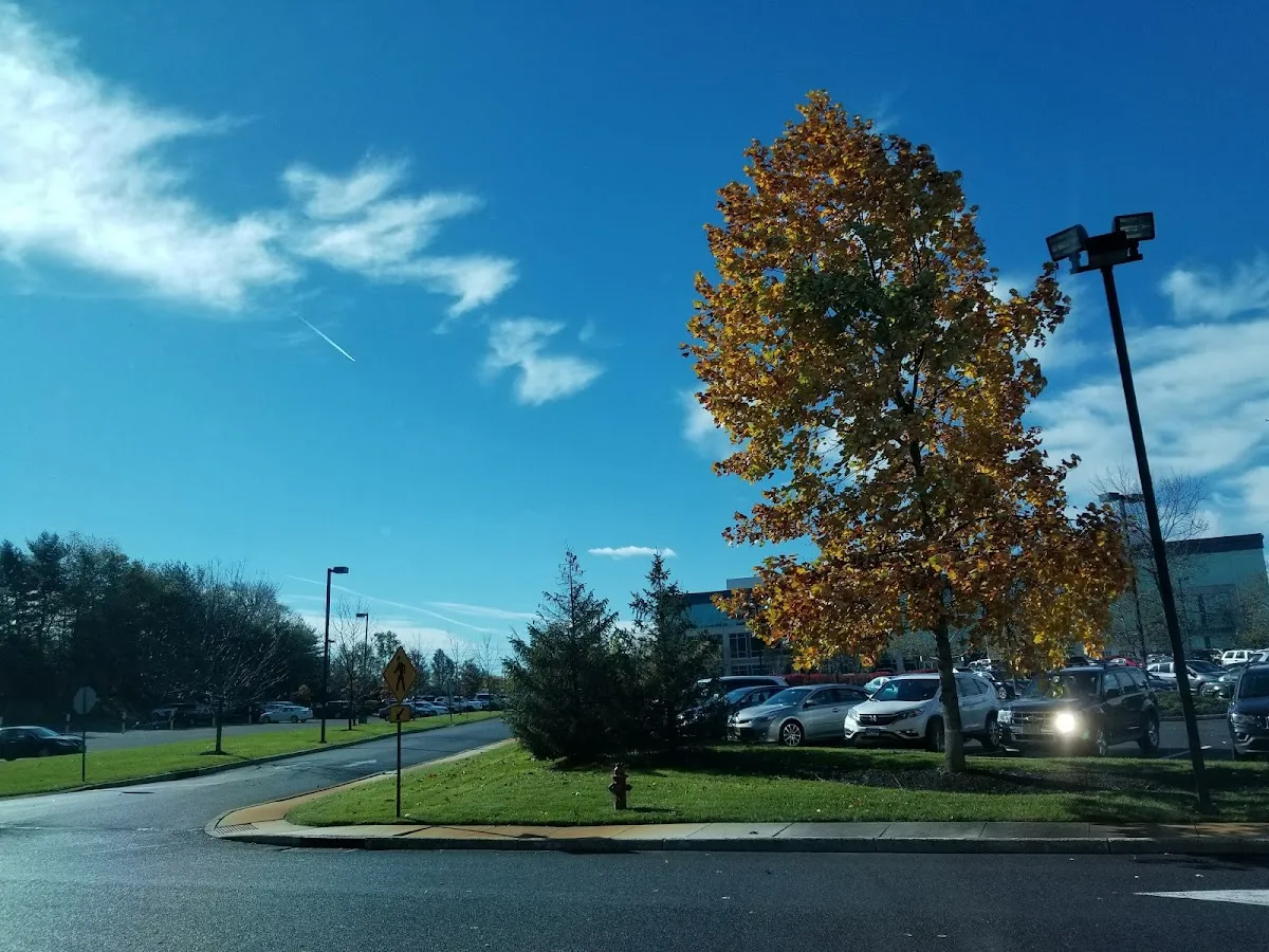 A A A Insurance Exchange