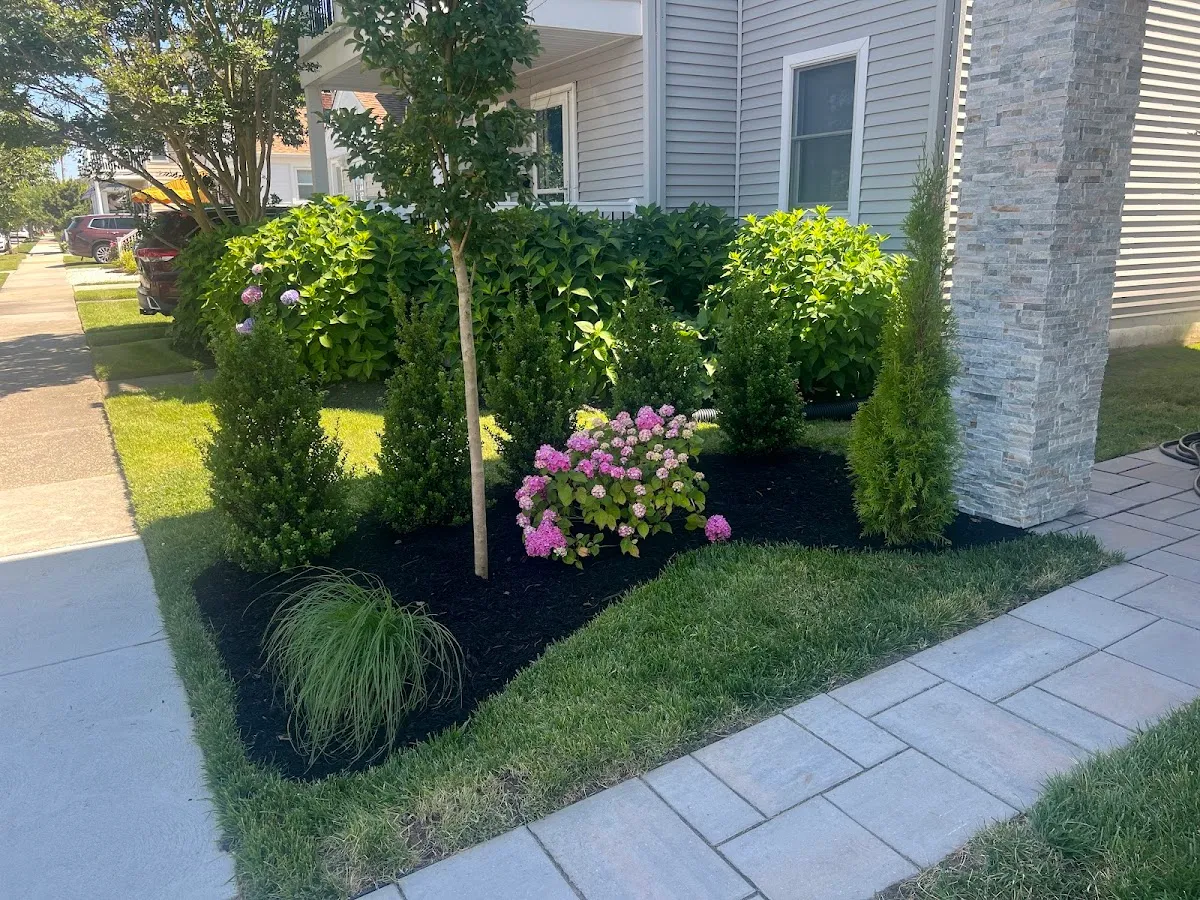 A E Landscaping