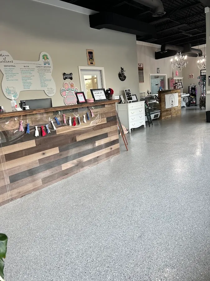 A Family Pet Salon photo 2