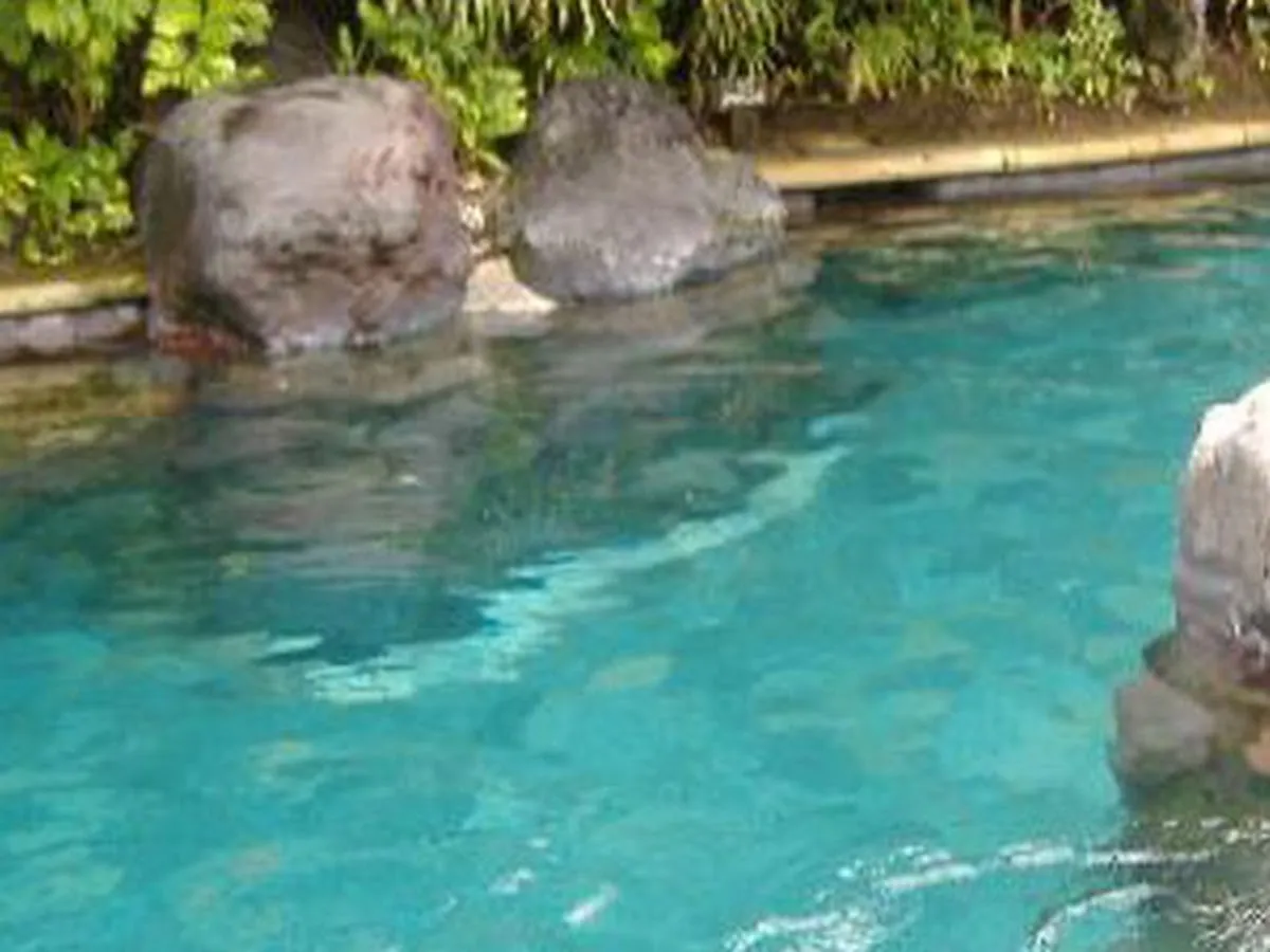 A & L Pool Service, Inc.