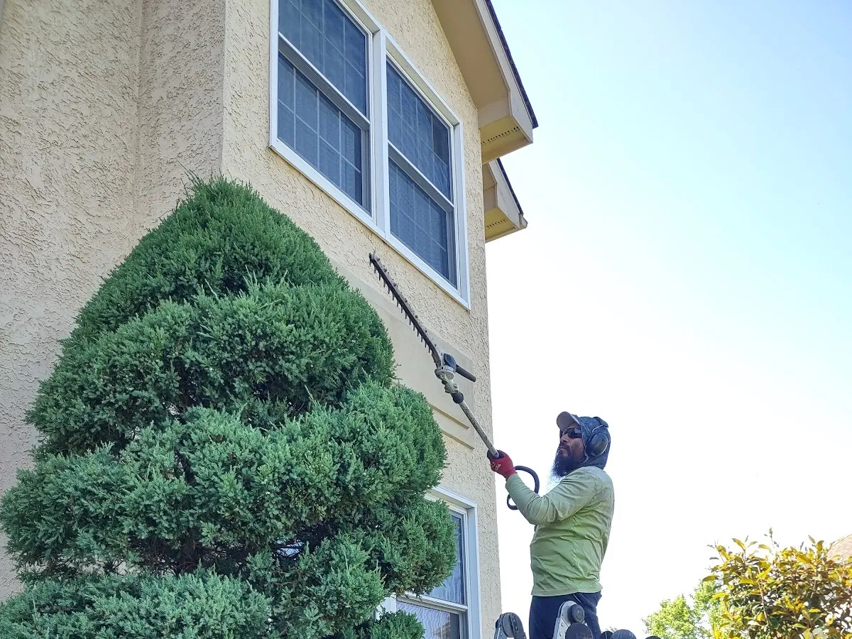 A & M Landscape Management
