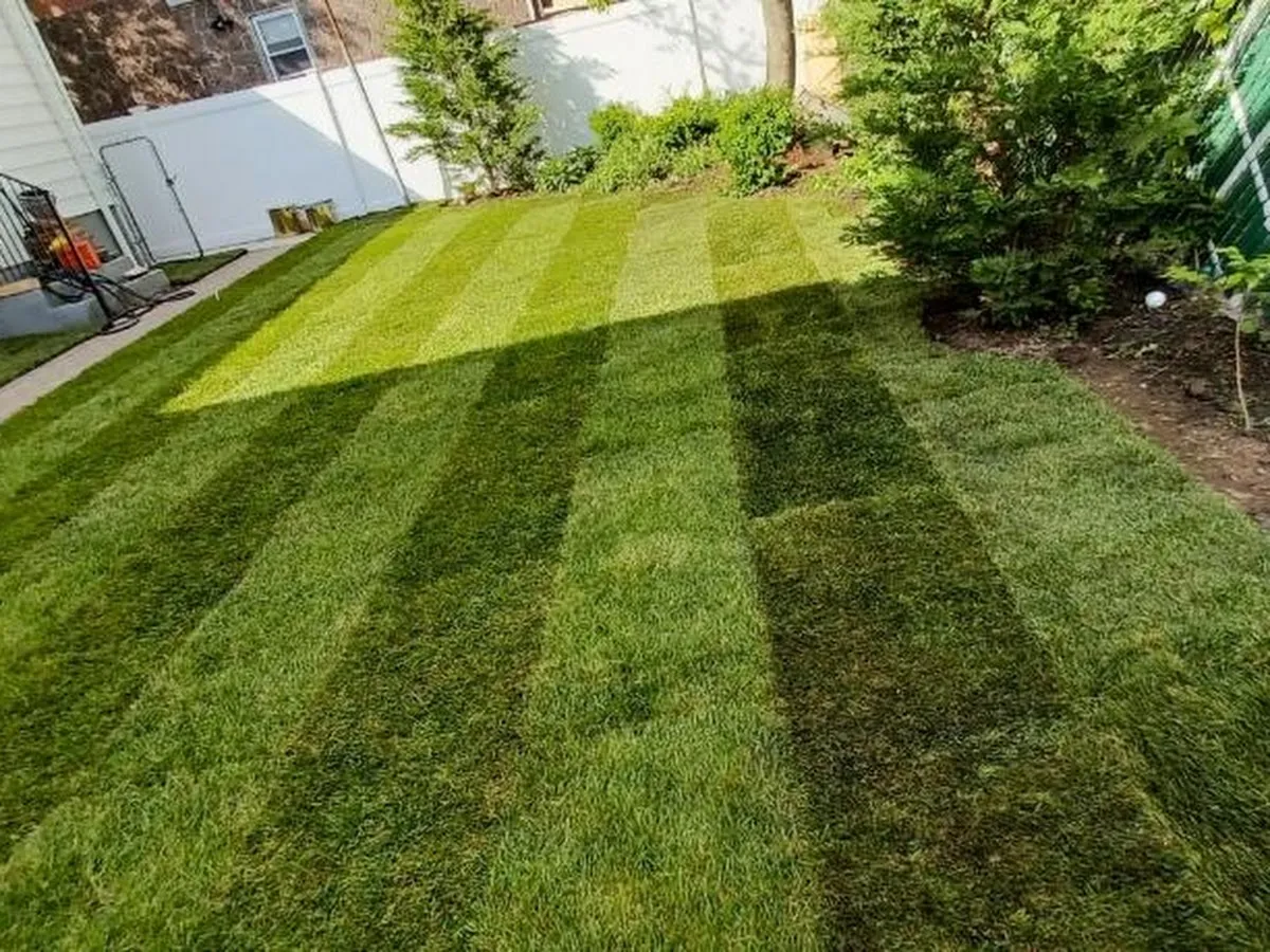 A Plus Lawn Care and Snow Removal photo 4