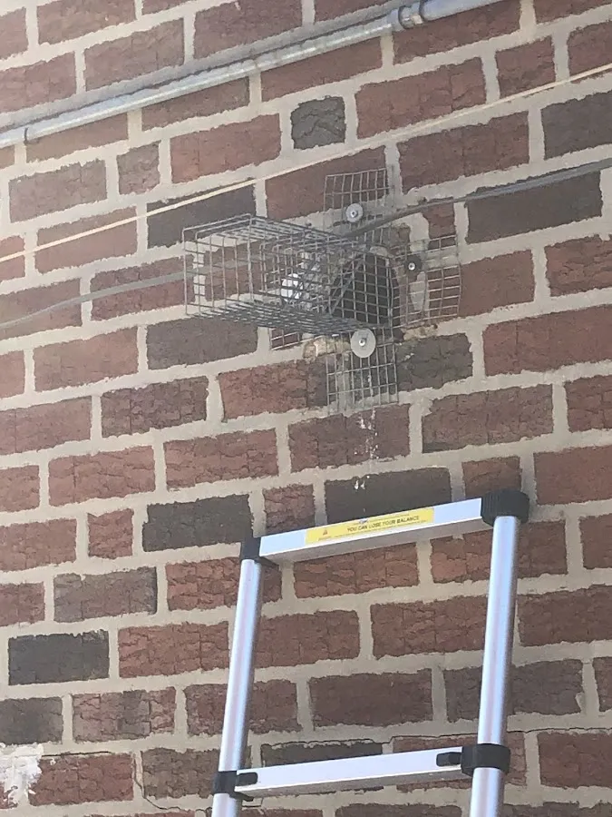 A Plus Wildlife LLC photo 3