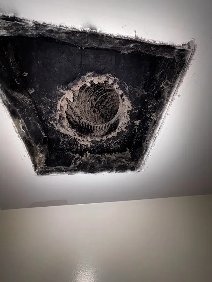 A-1 Air Vents And Carpet Cleaning photo 3