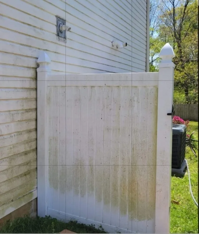 A1 PRESSURE WASHING, Soft Washing photo 2