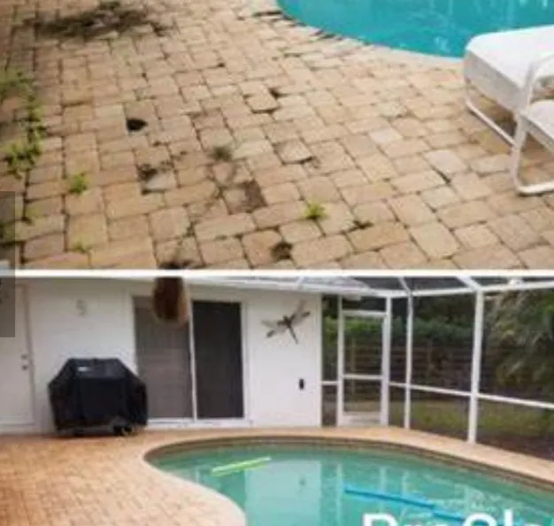 A1 PRESSURE WASHING, Soft Washing photo 3