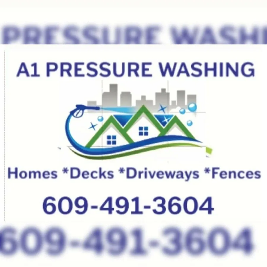 A1 PRESSURE WASHING, Soft Washing photo 4