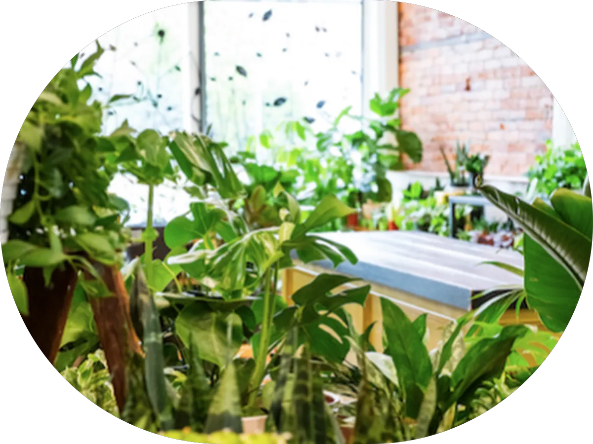 A-1 Residential Cleaning Inc photo 4