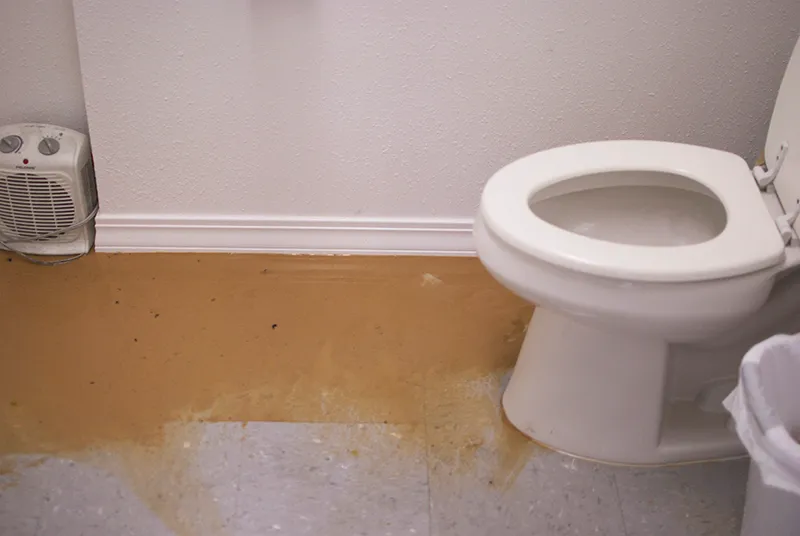 AAA Public Adjusters photo 2