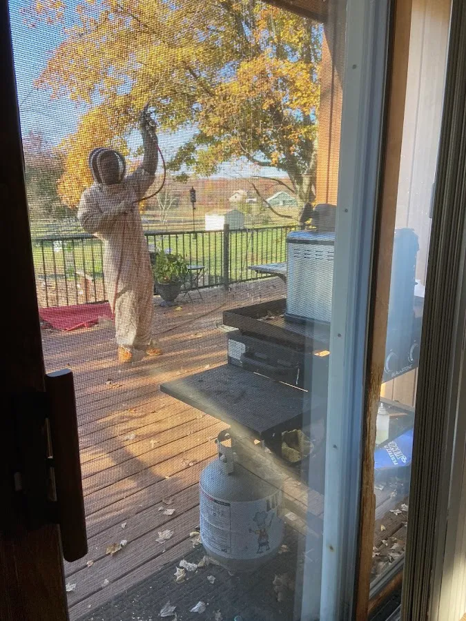 A-Academy Termite & Pest