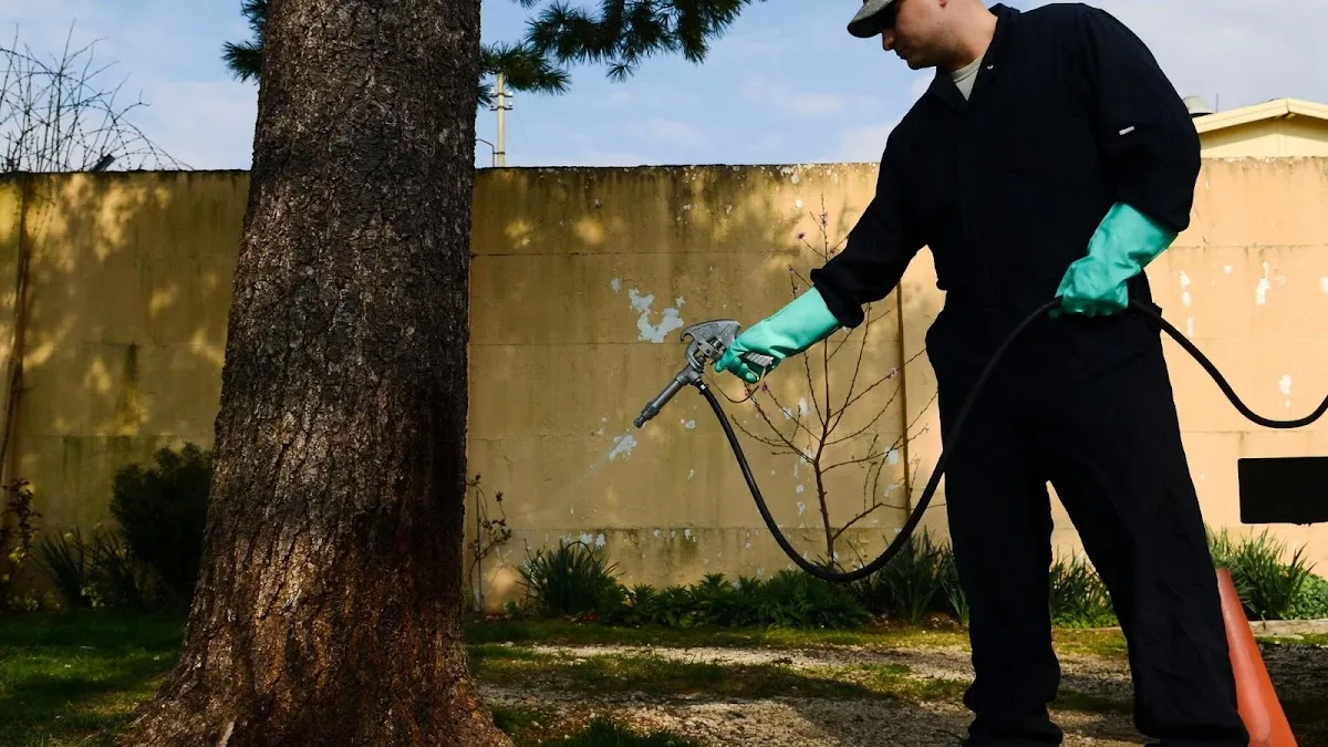 Above All Pest Control Inc