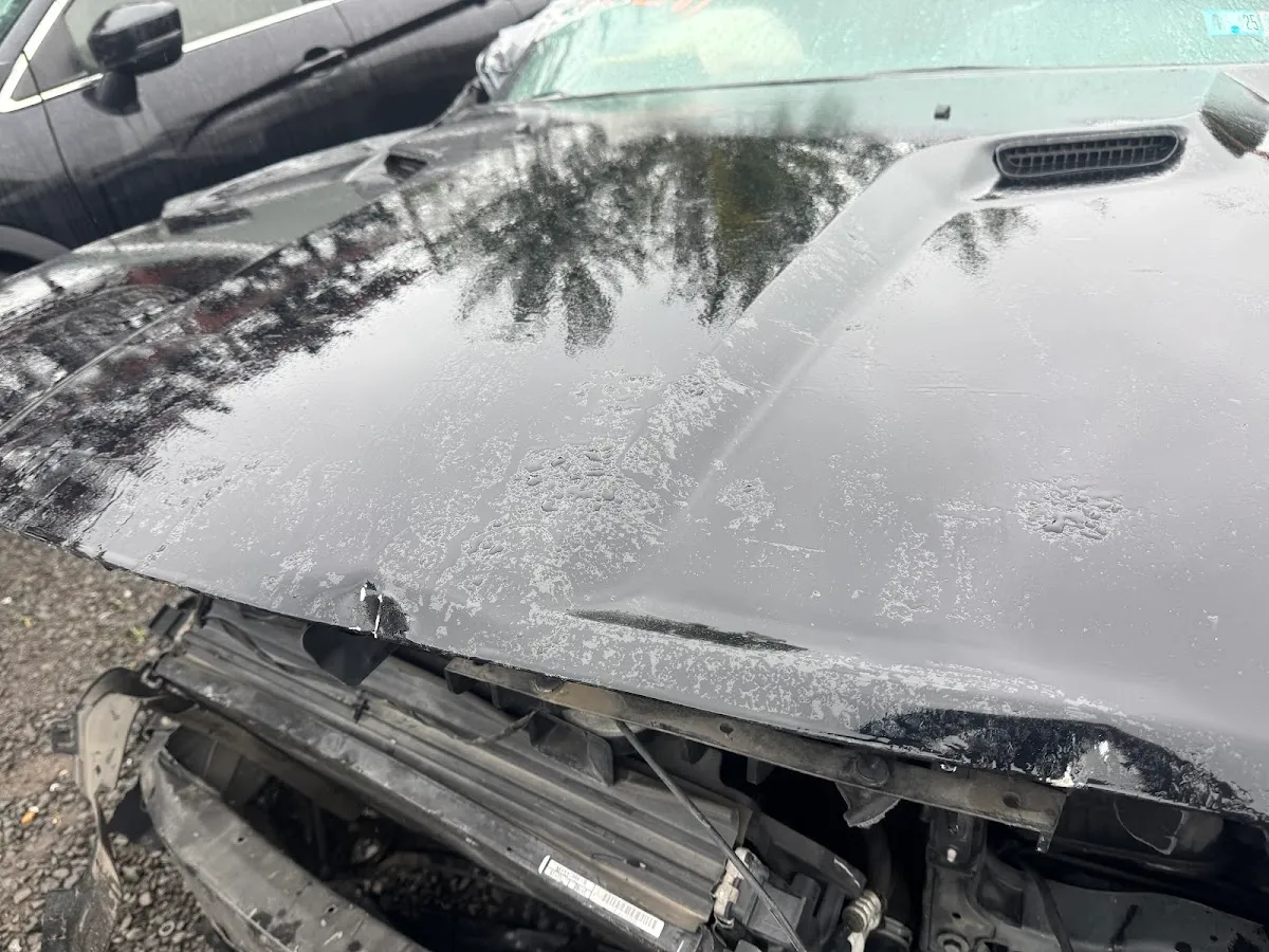 Above All Salvage Inc.