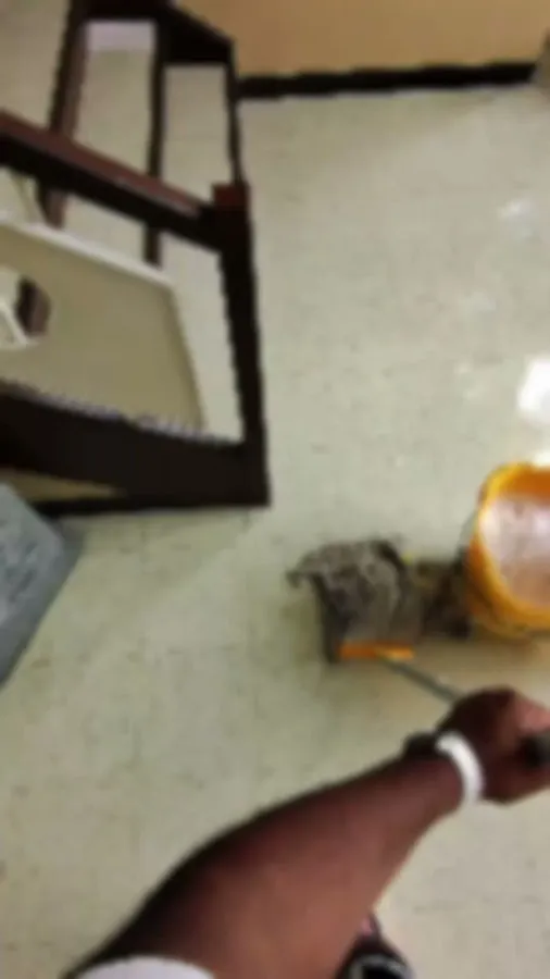 Above and Beyond Cleaning & Restoration LLC photo 5