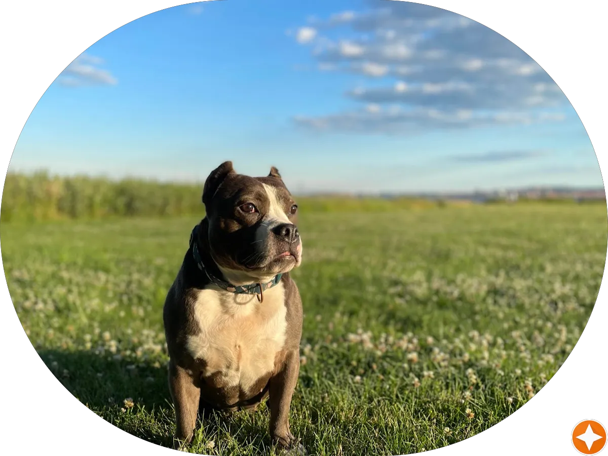 Abra Dental - Jersey City photo 4