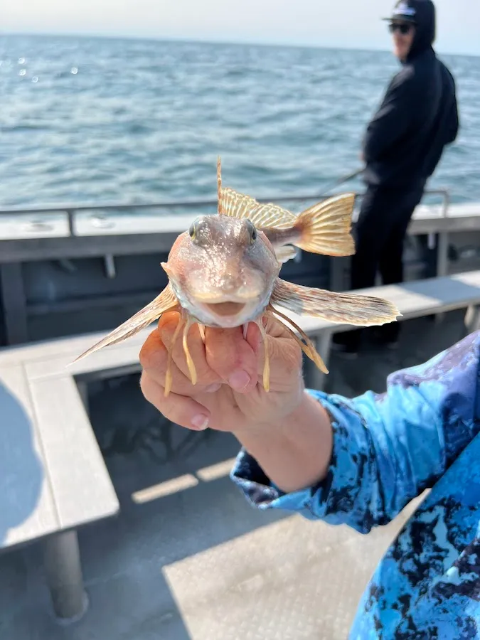 AC Charterboat photo 2