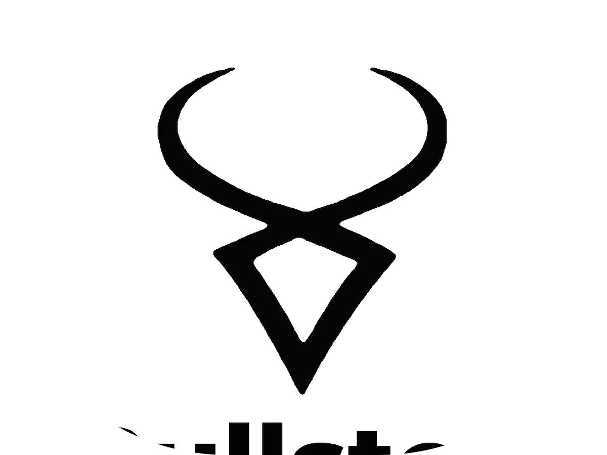 Account Vision LLC photo 3