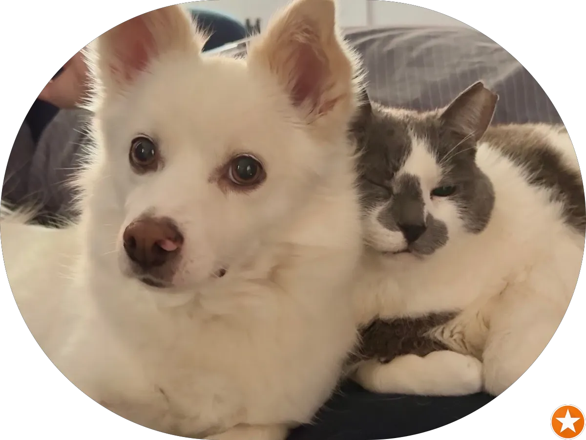 ACE Solutions photo 5