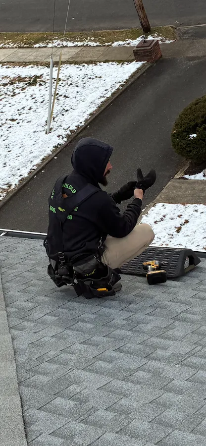 Acorn Wildlife LLC photo 2