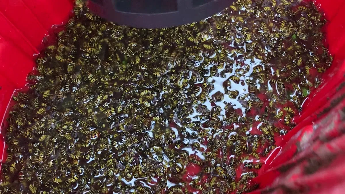 Acorn Wildlife LLC photo 3