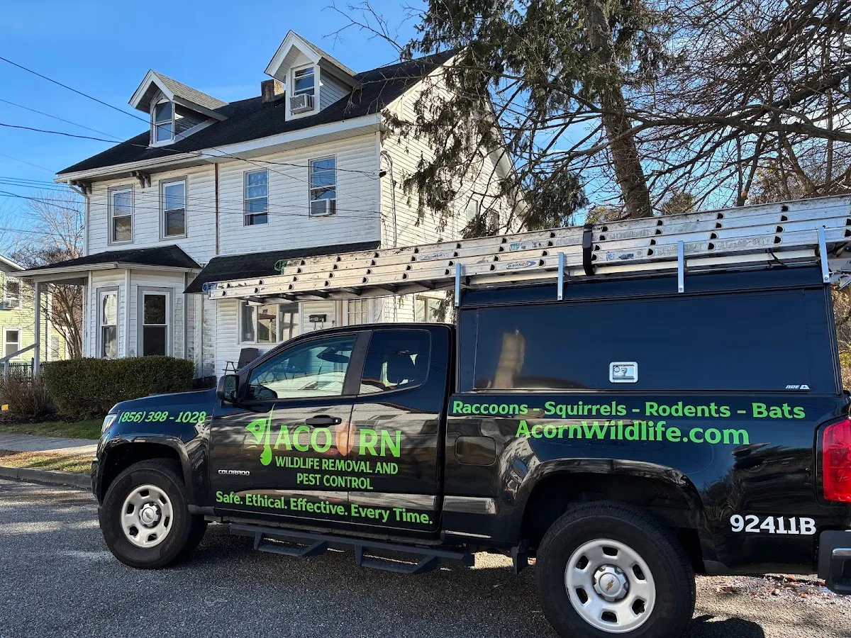 Acorn Wildlife LLC photo 4