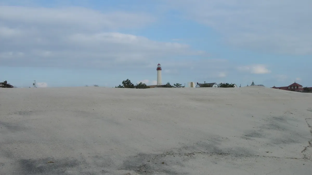 Action Painting & Restoration