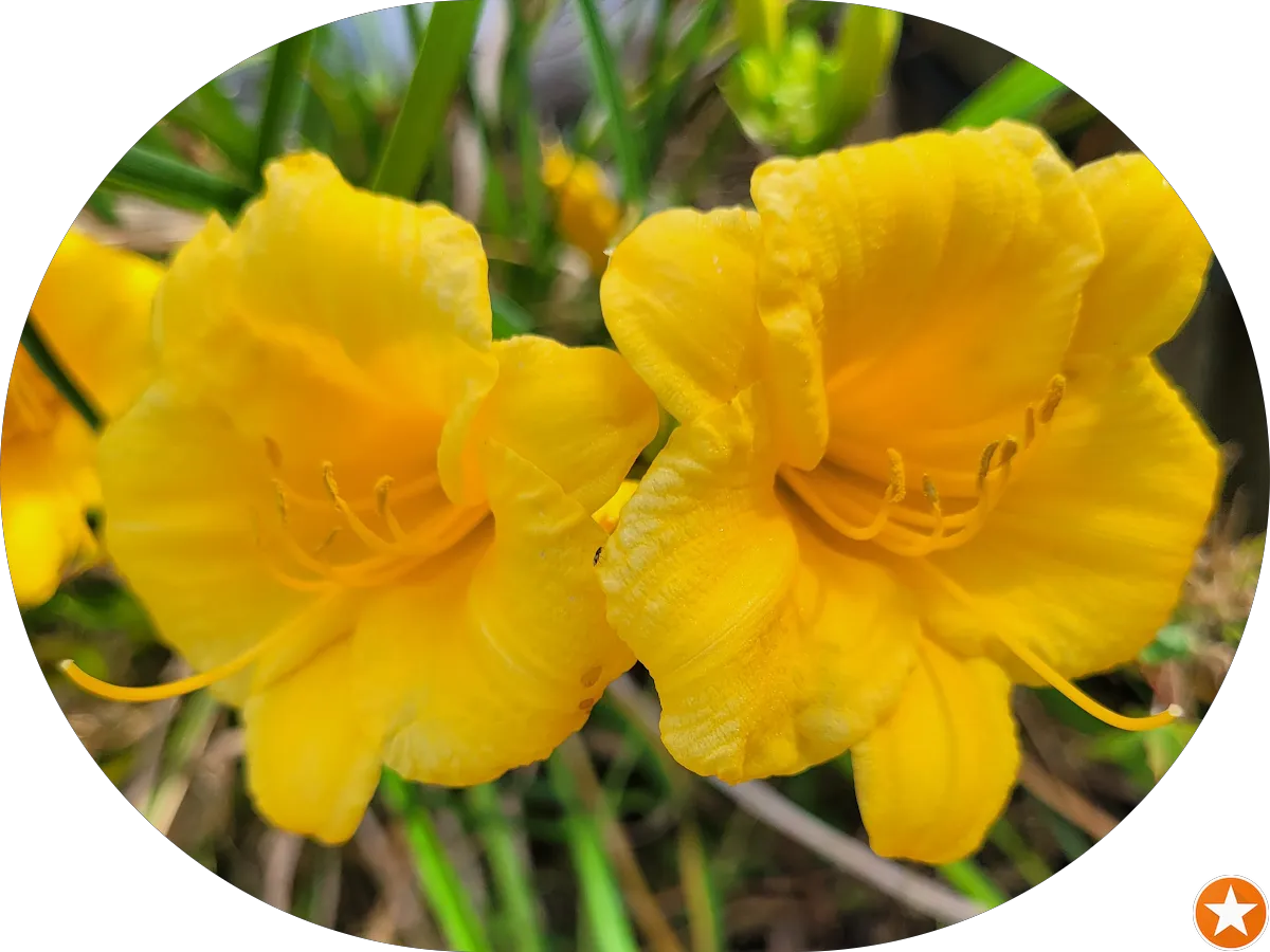 Active Spine and Joint Institute photo 5