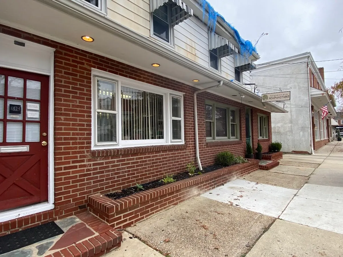 Acupuncture for Concussion: Jon Posner, L.Ac. photo 5