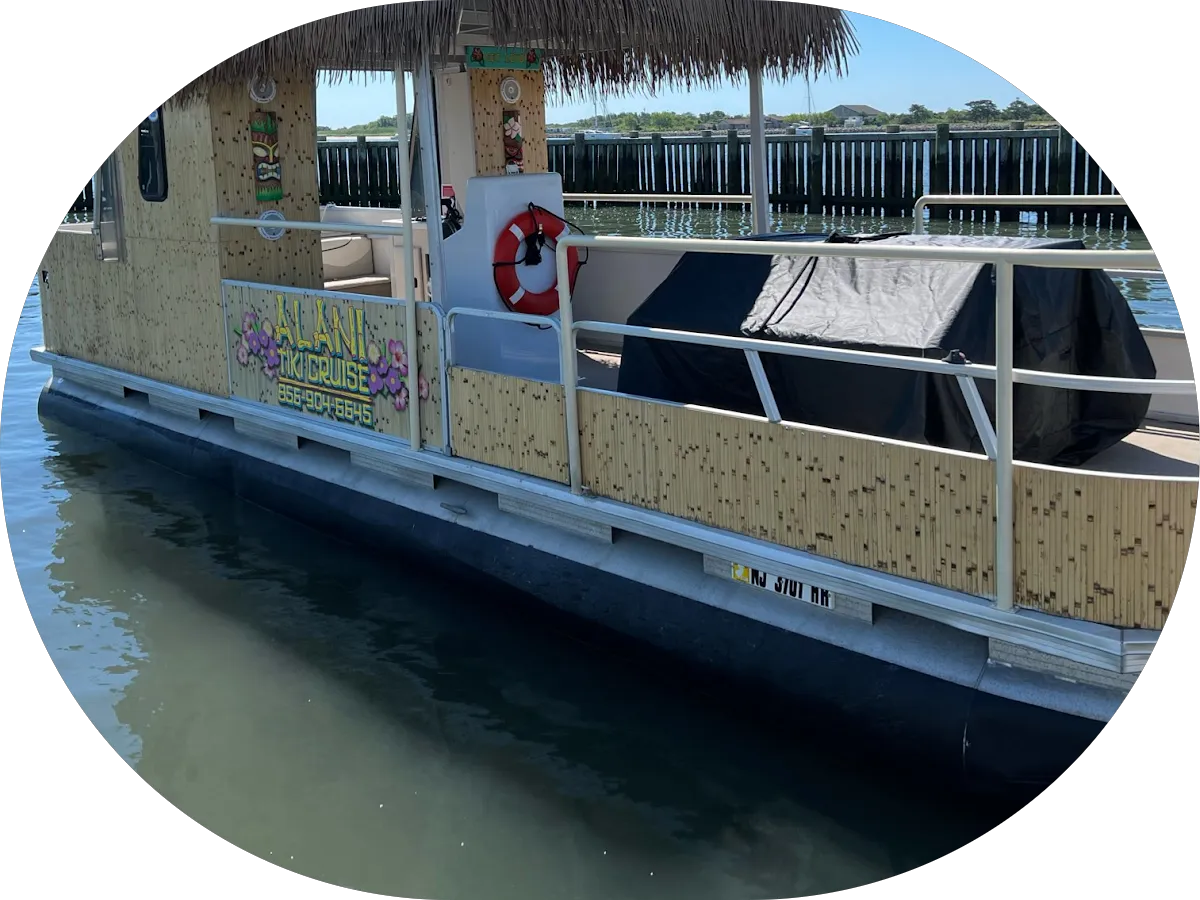 Adam Bello Real Estate photo 5