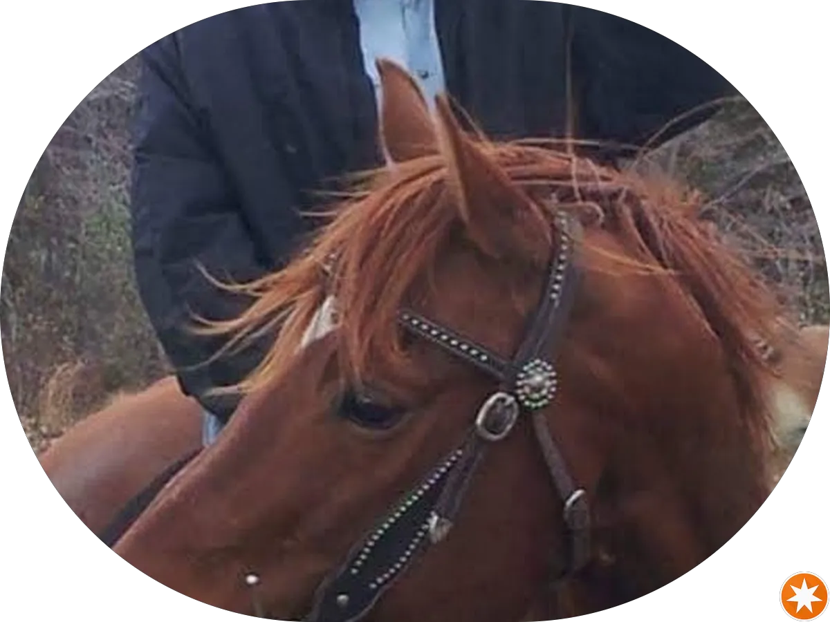 Adams Auto Body photo 4