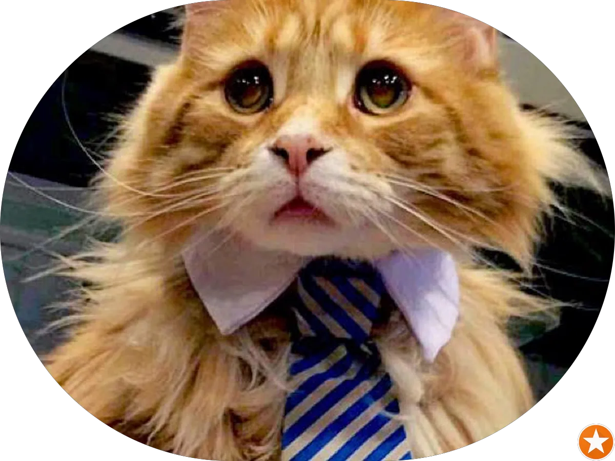 Addesso Painting & Power Washing photo 3